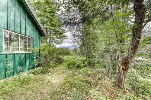 The River House - image 9