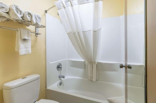 Quality Inn and Suites - image 9