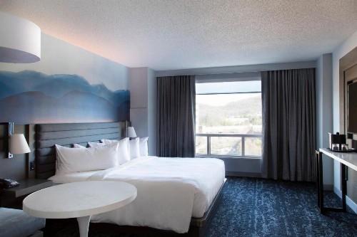 Franklin Marriott Cool Springs - image 49