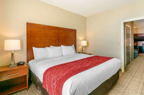 Comfort Inn & Suites Nashville Franklin Cool Springs - image 10