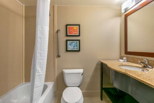 Comfort Inn & Suites Nashville Franklin Cool Springs - image 7