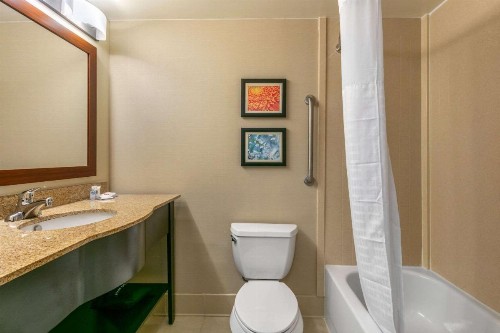 Comfort Inn & Suites Nashville Franklin Cool Springs - image 9