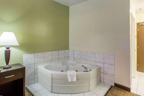 Comfort Inn Franklin - image 13