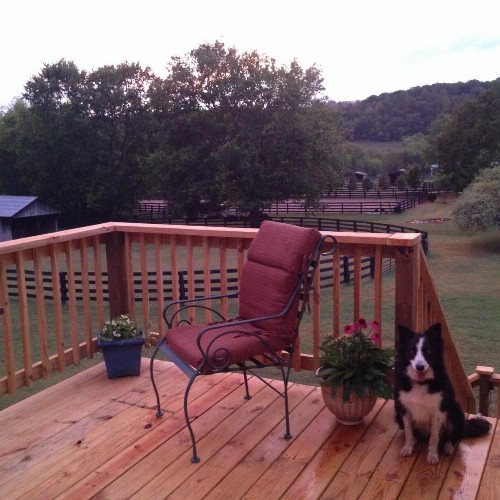 Full Circle Farm Inn - image 11
