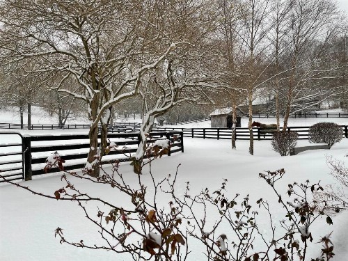 Full Circle Farm Inn - image 12
