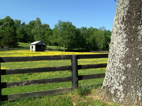 Full Circle Farm Inn - image 13
