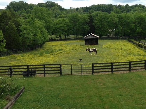 Full Circle Farm Inn - image 21