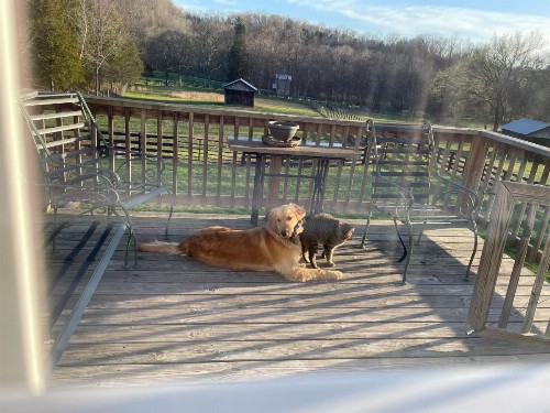 Full Circle Farm Inn - image 24