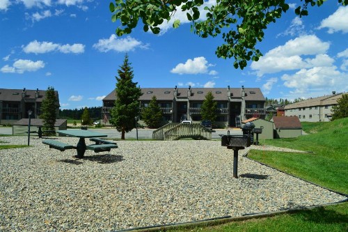 Pines at Meadow Ridge - image 10
