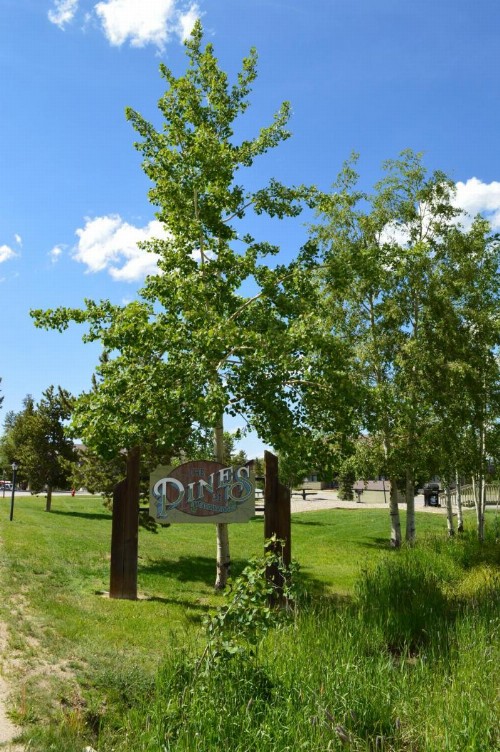 Pines at Meadow Ridge - image 13