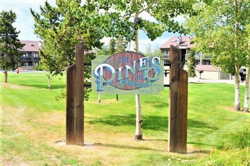 Pines at Meadow Ridge - image 31