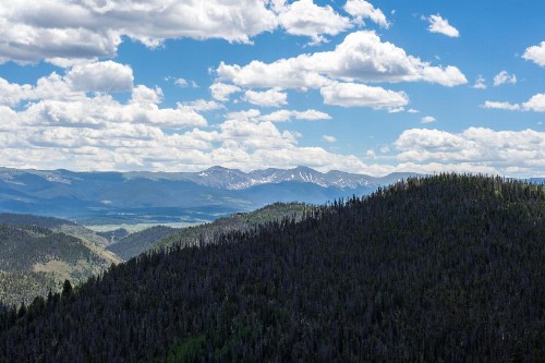 Wolf Park 215 - image 7