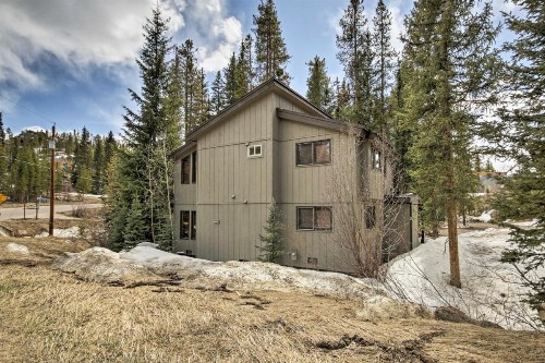 Winter Park Cabin - Walk to Main Street and Downtown - image 7