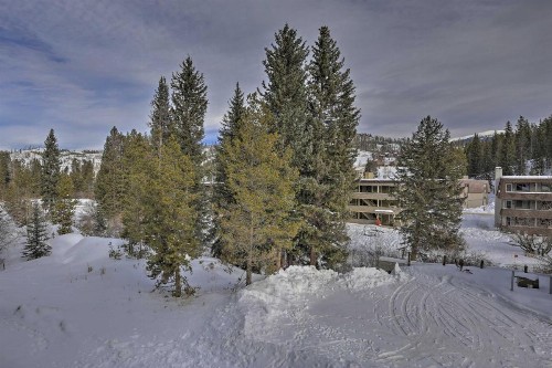 Renovated Winter Park Getaway Hike Ski Explore! - image 11