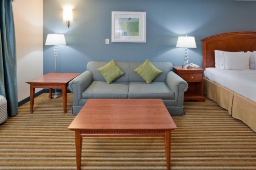 Holiday Inn Express Hotel & Suites Fredericksburg an IHG Hotel - image 11