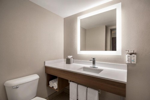 Holiday Inn Express Hotel & Suites Fredericksburg an IHG Hotel - image 26