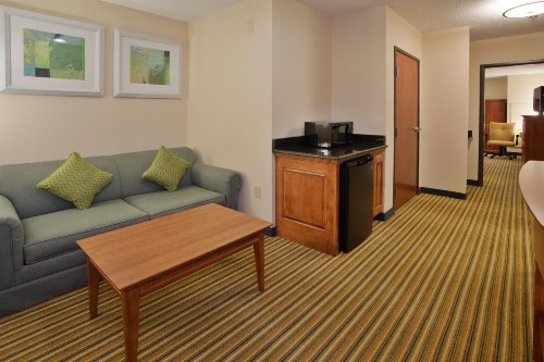 Holiday Inn Express Hotel & Suites Fredericksburg an IHG Hotel - image 28