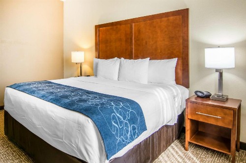 Comfort Suites Fredericksburg South - image 18