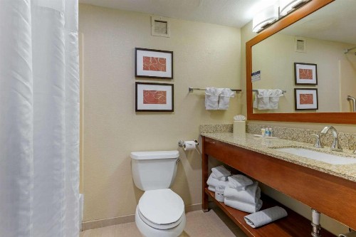 Comfort Suites Fredericksburg South - image 2
