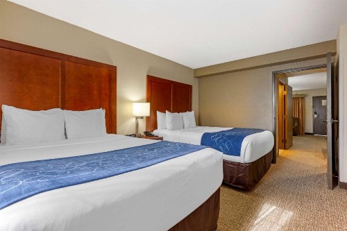 Comfort Suites Fredericksburg South - image 20