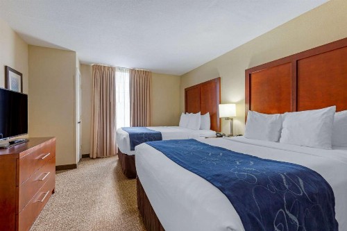 Comfort Suites Fredericksburg South - image 28