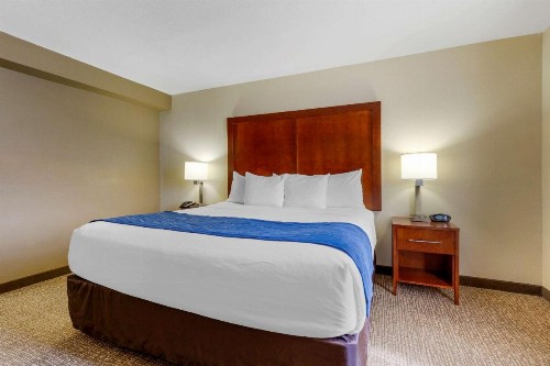 Comfort Suites Fredericksburg South - image 36