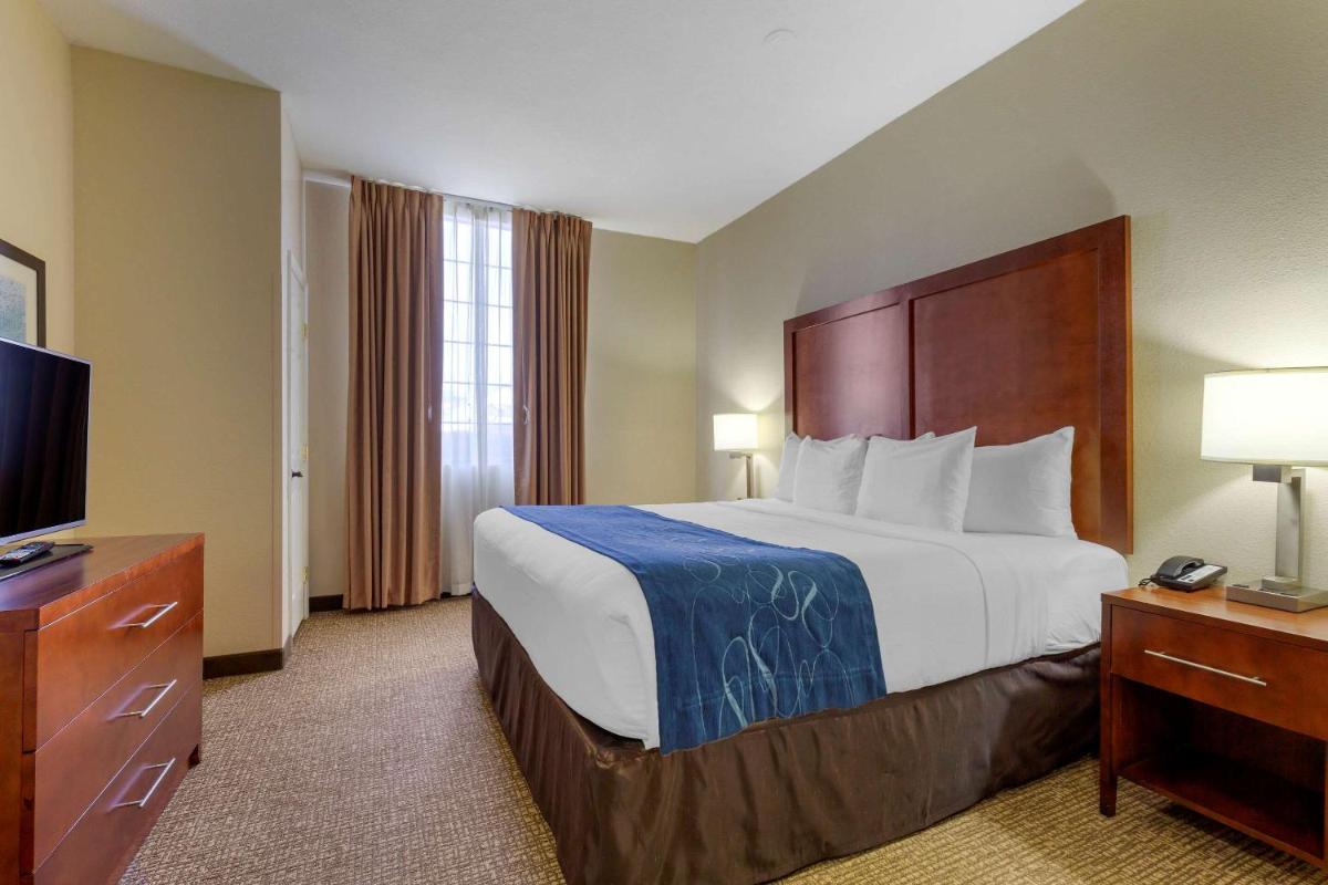 Comfort Suites Fredericksburg South - image 6