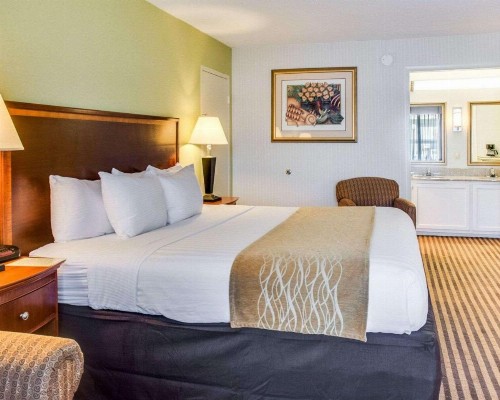Clarion Inn Fredericksburg - image 13