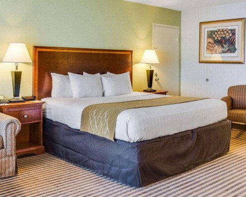 Clarion Inn Fredericksburg - image 20