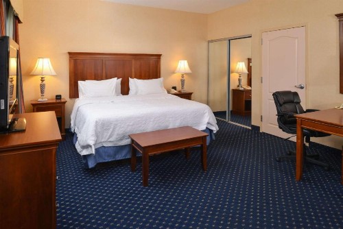 Hampton Inn and Suites Fredericksburg South - image 38