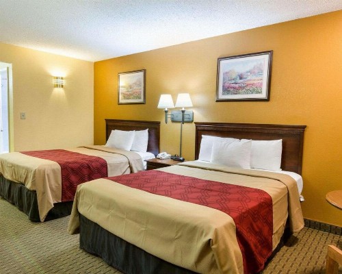 Econo Lodge Fredericksburg near I-95 - image 10