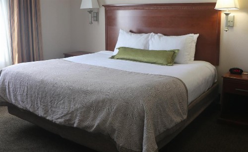 Candlewood Suites Fredericksburg an IHG Hotel - image 5