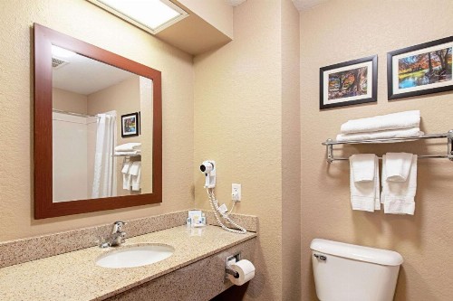 Comfort Inn and Suites Fredericksburg - image 2