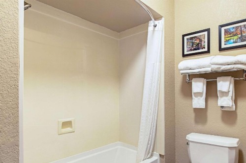 Comfort Inn and Suites Fredericksburg - image 25
