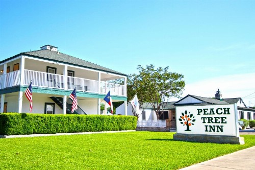 Peach Tree Inn & Suites - image 1