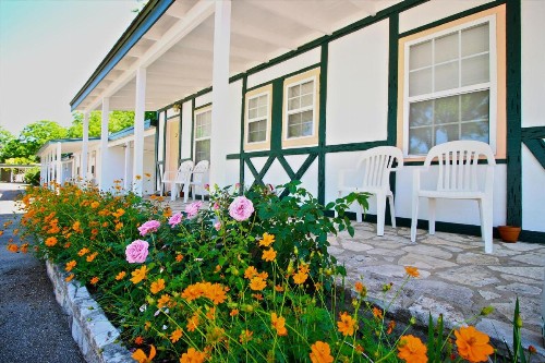 Peach Tree Inn & Suites - image 13