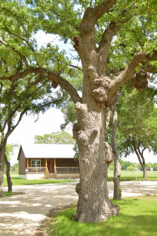 Vineyard Trail Cottages- Adults Only - image 38