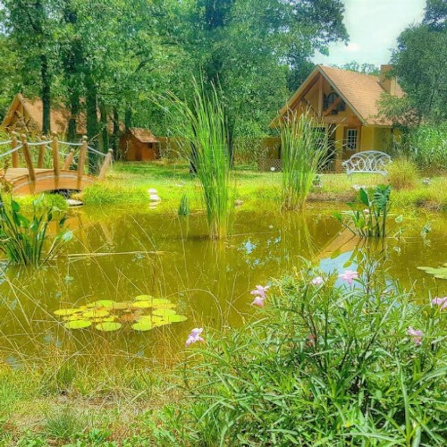 Rarumpelpunzeldornaschenwittchen - image 3