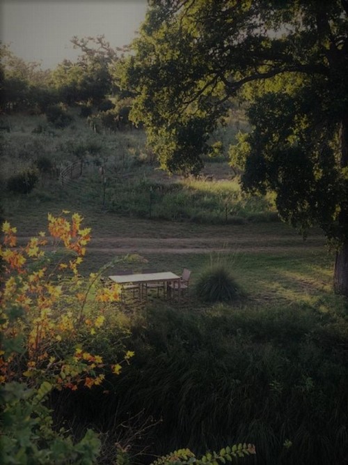 City on a Hill at Spring Creek - image 23