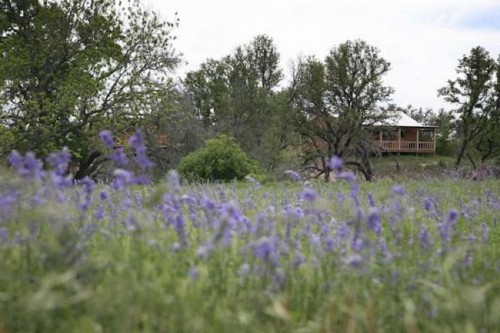 City on a Hill at Spring Creek - image 32