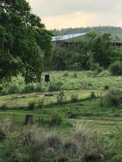 City on a Hill at Spring Creek - image 4