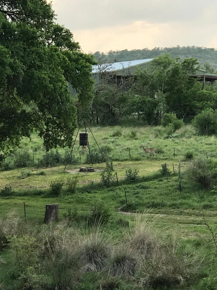 City on a Hill at Spring Creek - image 4