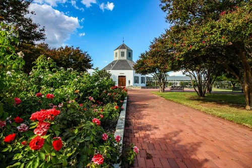 Fredericksburg Farmhaus - image 12