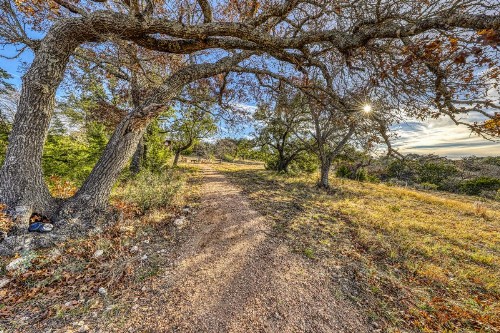 Cedar Ridge - image 9