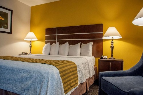Best Western Village Inn - image 15