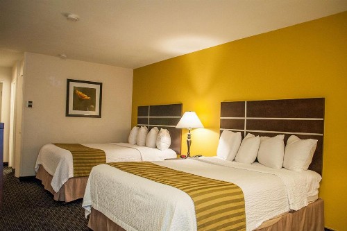 Best Western Village Inn - image 16