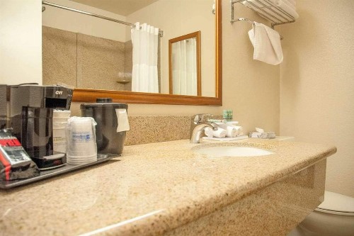 Best Western Village Inn - image 17