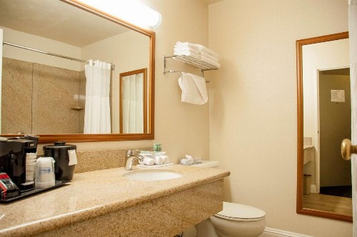 Best Western Village Inn - image 3