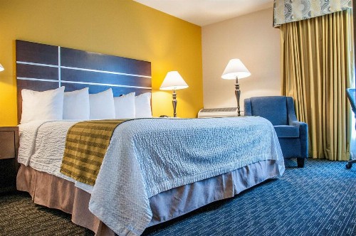Best Western Village Inn - image 7