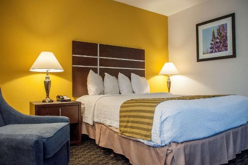 Best Western Village Inn - image 8
